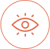 Our Vision Icon